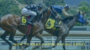 Read more about the article How to Read Horse Racing Odds – Explained