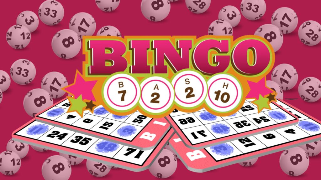 What are the best bingo bonus offers today?
