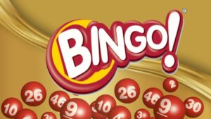 Read more about the article What are different kinds of Bingo winning patterns?