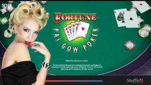 Read more about the article Your Ultimate Guide To Pai Gow Poker Strategy