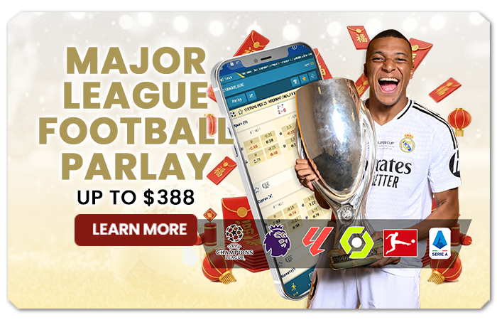 You are currently viewing MAJOR LEAGUE FOOTBALL PARLAY UP TO $388