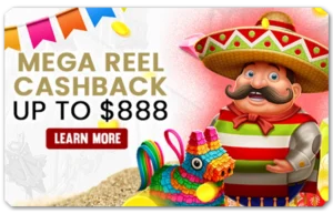 Read more about the article MEGA REEL CASHBACK UP TO $888