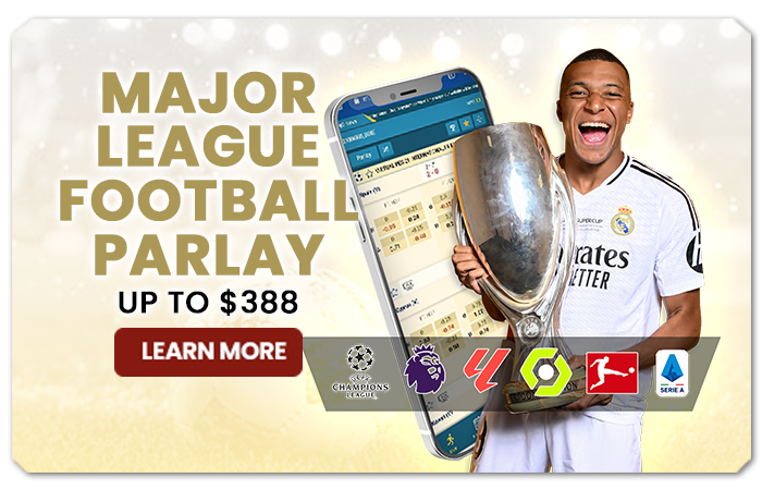 You are currently viewing MAJOR LEAGUE FOOTBALL PARLAY UP TO $388