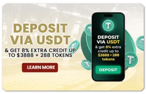 Read more about the article DEPOSIT VIA USDT