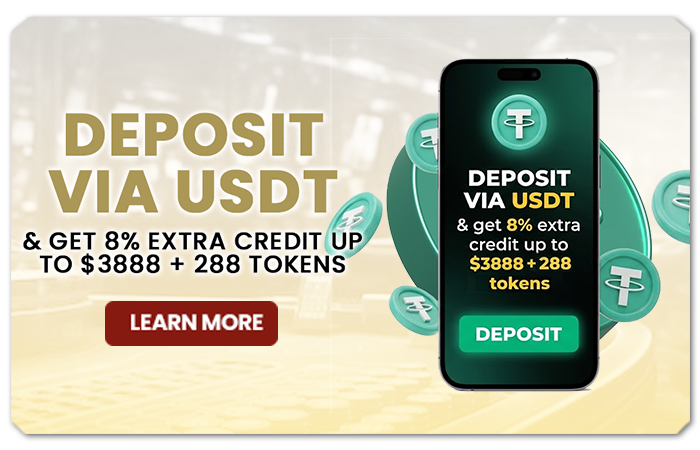 You are currently viewing DEPOSIT VIA USDT